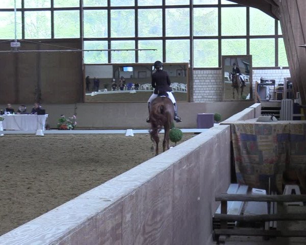 Reitturnier Kamen 2022