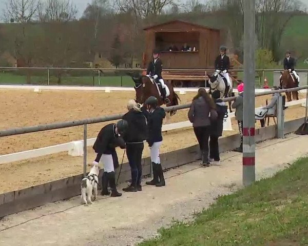 Reitturnier Altentrüdingen/Mfr. 2022