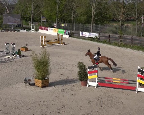 Reitturnier Monheim - Gut Blee 2022