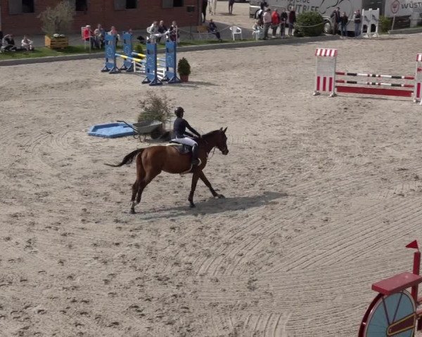 Reitturnier Monheim - Gut Blee 2022