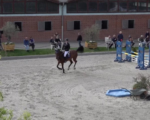Reitturnier Monheim - Gut Blee 2022