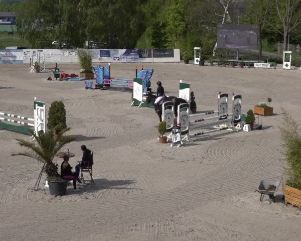 Reitturnier Monheim - Gut Blee 2022