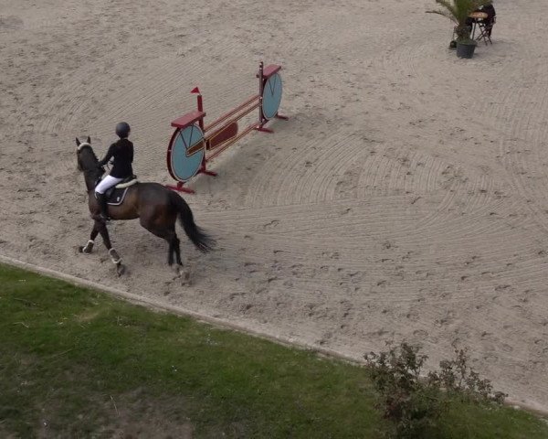 Reitturnier Monheim - Gut Blee 2022
