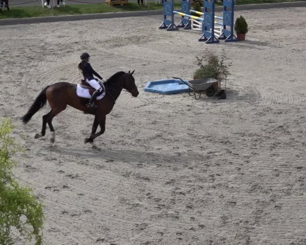 Reitturnier Monheim - Gut Blee 2022