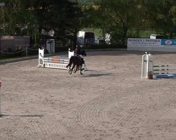 Reitturnier Monheim - Gut Blee 2022