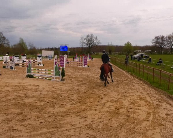 Reitturnier Wutzetz 2022
