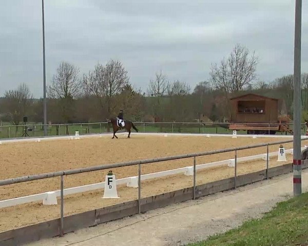 Reitturnier Altentrüdingen/Mfr. 2022