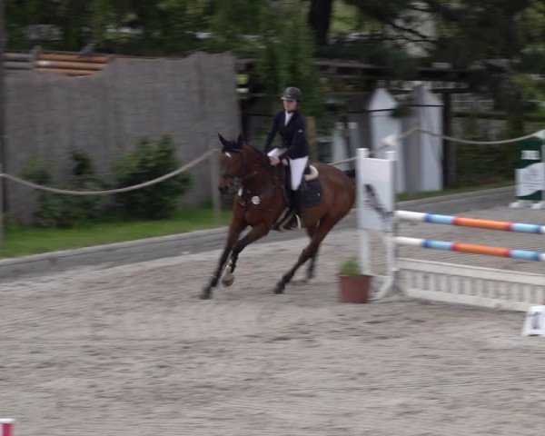 Reitturnier Monheim - Gut Blee 2022
