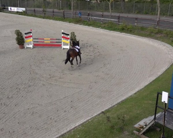 Reitturnier Monheim - Gut Blee 2022