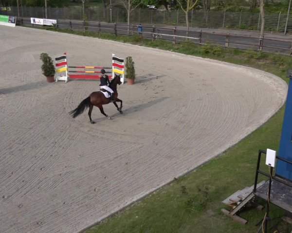 Reitturnier Monheim - Gut Blee 2022
