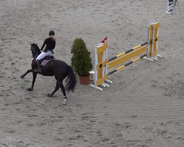 Reitturnier Monheim - Gut Blee 2022