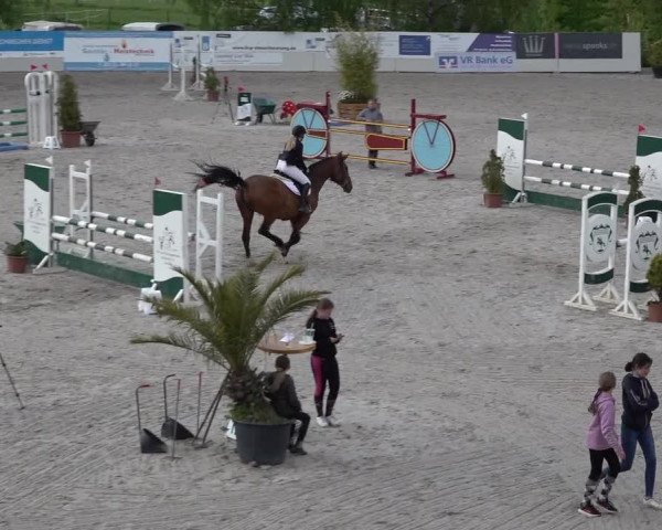 Reitturnier Monheim - Gut Blee 2022