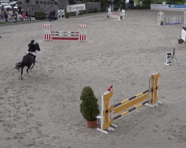 Reitturnier Monheim - Gut Blee 2022