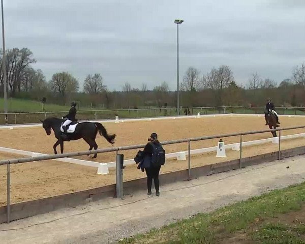 Reitturnier Altentrüdingen/Mfr. 2022