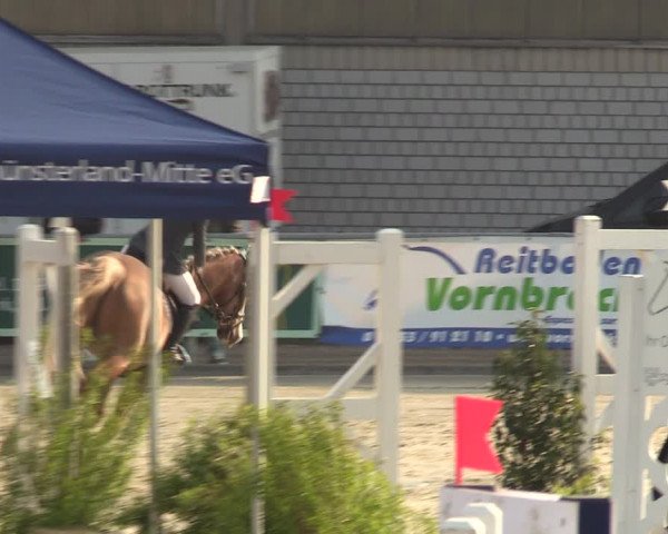 Pony- und Juniorenturnier Olfen-Vinnum 2022