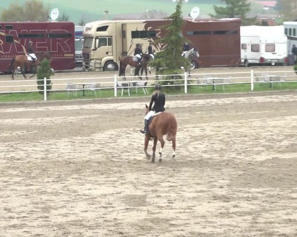 Reitturnier Ried am Riederberg 2022