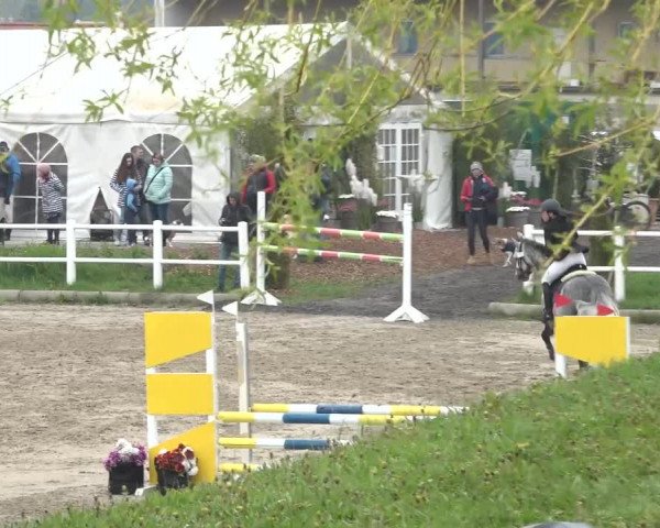 Reitturnier Ried am Riederberg 2022