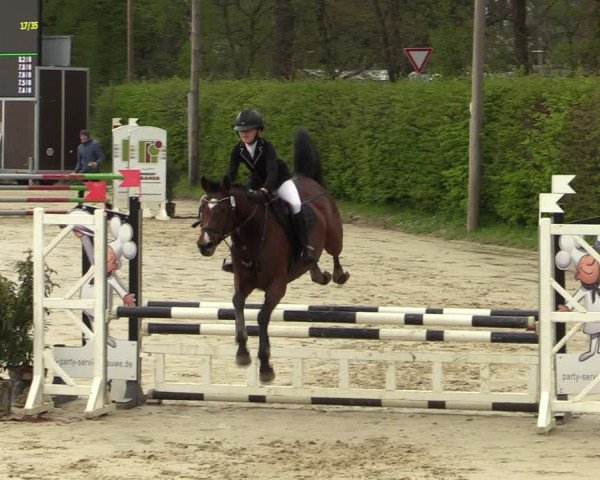 Pony- und Juniorenturnier Olfen-Vinnum 2022