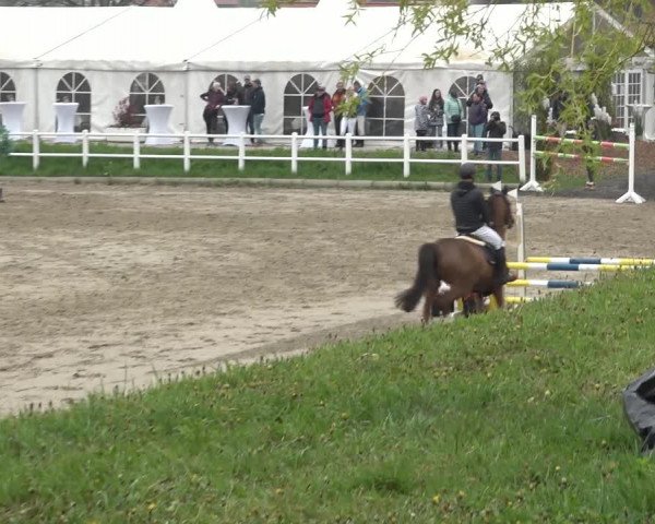 Reitturnier Ried am Riederberg 2022