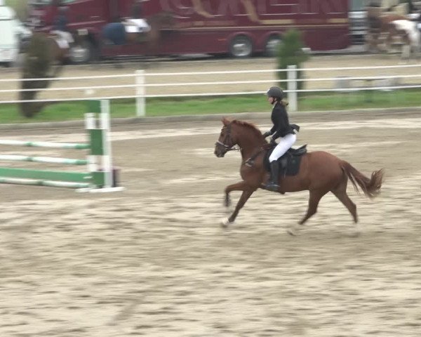 Reitturnier Ried am Riederberg 2022
