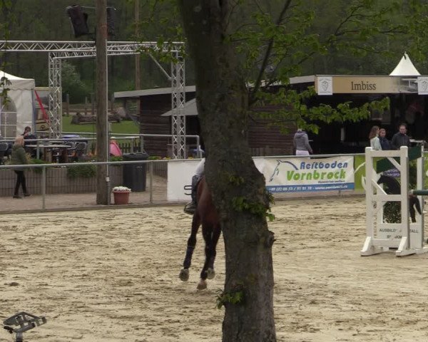 Pony- und Juniorenturnier Olfen-Vinnum 2022