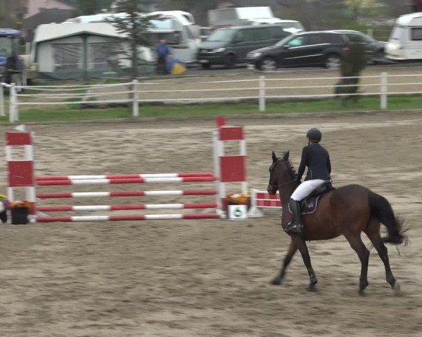 Reitturnier Ried am Riederberg 2022