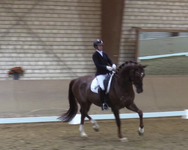 Reitturnier Kamen 2022