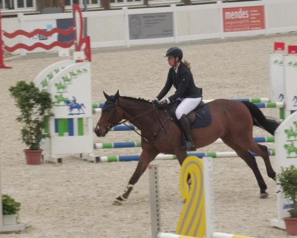 Springturnier Memmingen 2022