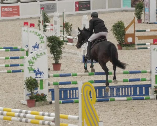 Springturnier Memmingen 2022