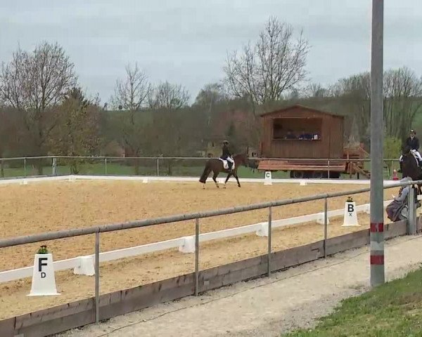Reitturnier Altentrüdingen/Mfr. 2022