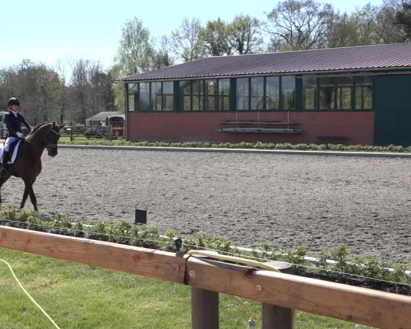 Reitturnier Schwanewede 2022