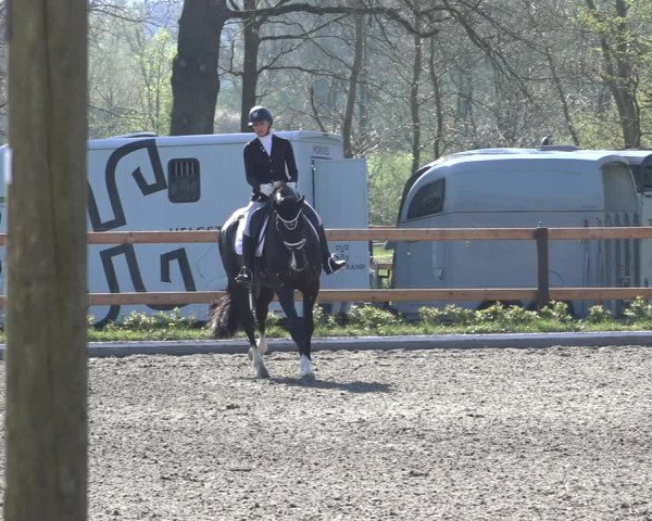 Reitturnier Schwanewede 2022