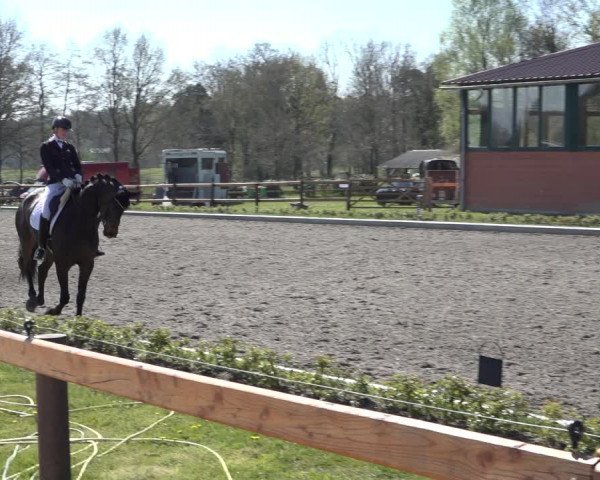 Reitturnier Schwanewede 2022