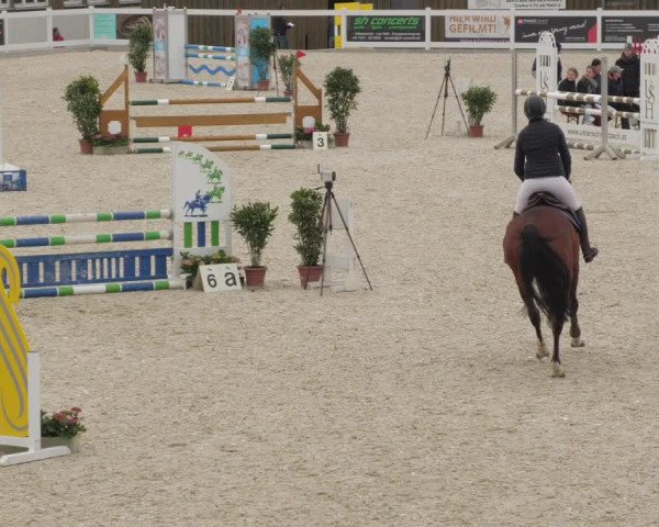 Springturnier Memmingen 2022