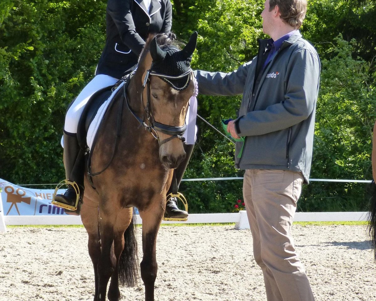 Zuchtstute Challenge (Deutsches Reitpony, 2006, von FS Champion de Luxe)