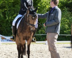 Zuchtstute Challenge (Deutsches Reitpony, 2006, von FS Champion de Luxe)
