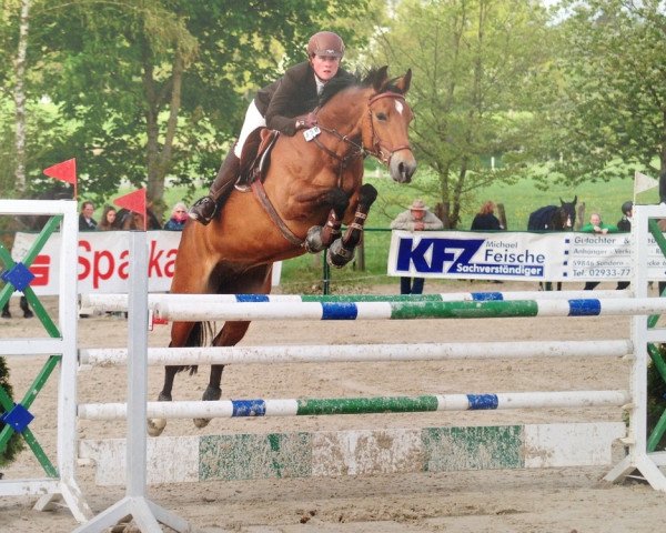 Springpferd Fine (Hannoveraner, 2004, von For Pleasure)