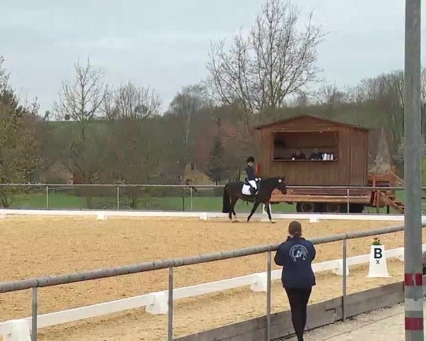 Reitturnier Altentrüdingen/Mfr. 2022