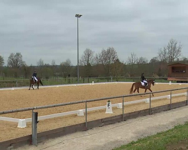 Reitturnier Altentrüdingen/Mfr. 2022