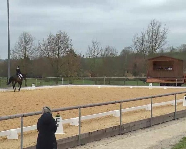 Reitturnier Altentrüdingen/Mfr. 2022