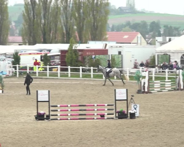 Reitturnier Ried am Riederberg 2022