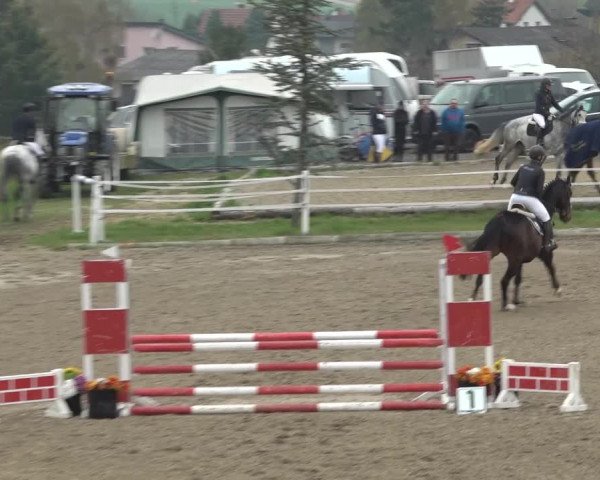Reitturnier Ried am Riederberg 2022