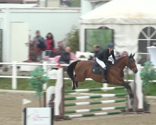 Reitturnier Ried am Riederberg 2022