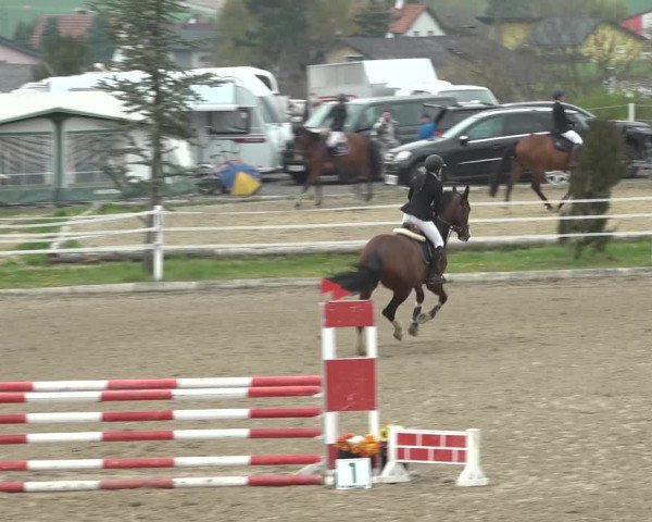 Reitturnier Ried am Riederberg 2022