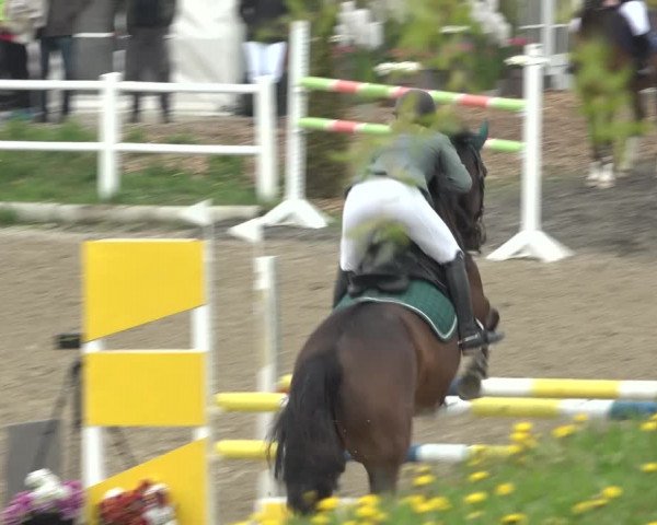 Reitturnier Ried am Riederberg 2022