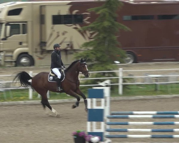 Reitturnier Ried am Riederberg 2022