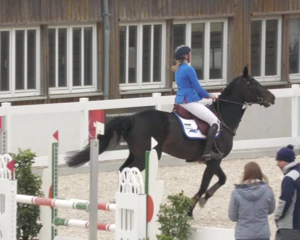 Springturnier Memmingen 2022