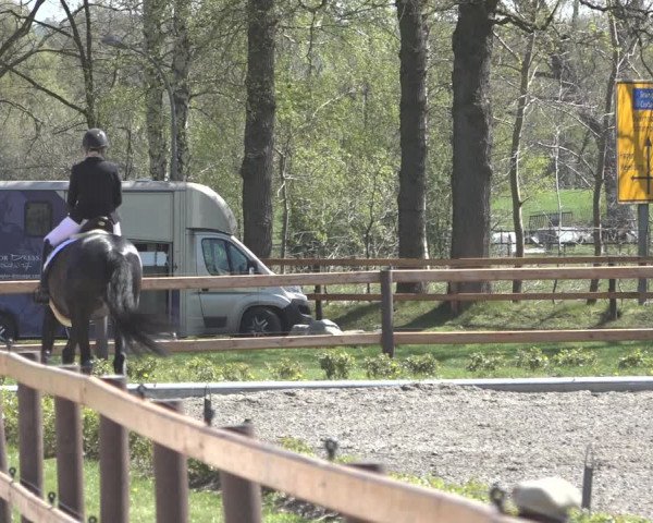 Reitturnier Schwanewede 2022