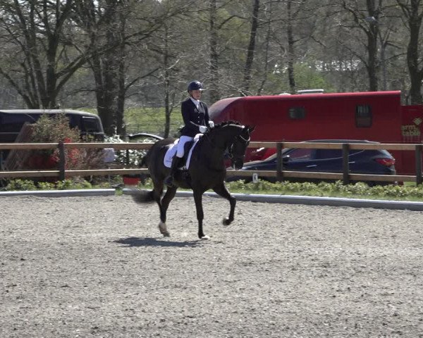 Reitturnier Schwanewede 2022