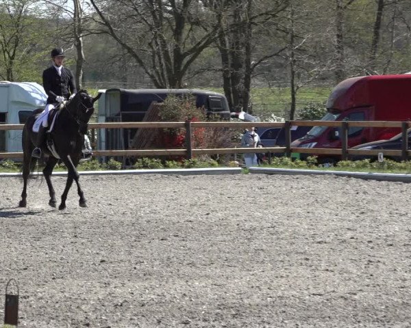 Reitturnier Schwanewede 2022
